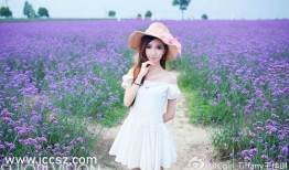 3d豪情在线观看高清,激情四溢的视觉盛宴，高清在线观影指南