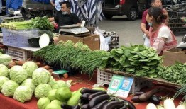 深圳菜市场爆料案件最新,揭开食品安全背后的惊人真相