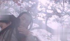 刘亦菲杨洋爆料视频,幕后真相引热议