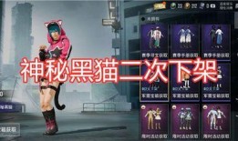 在哪里看军需爆料视频回放,揭秘战场物资背后的故事