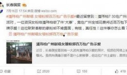 潘伟博最新爆料视频,事件真相与幕后黑幕
