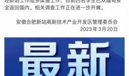 海南卫视爆料新闻报道视频,新闻报道视频背后的惊人内幕