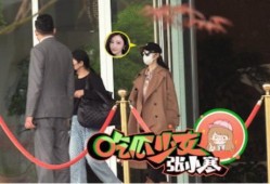 娱乐大爆料景甜小说,揭秘景甜小说背后的故事