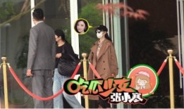娱乐大爆料景甜小说,揭秘景甜小说背后的故事