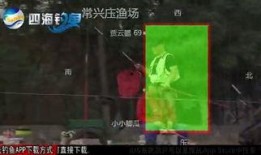 黑坑江湖 爆料视频下载,独家爆料视频下载全解析