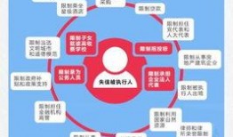 个人爆料新闻怎么写的,新闻背后的真相与争议