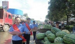 武都吃瓜网红事件,揭秘网络舆论的风暴与真相