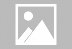 利哥最新爆料二蛋,二蛋神秘事件大揭秘