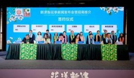 新津电视台爆料新闻视频,揭秘新闻背后的真相