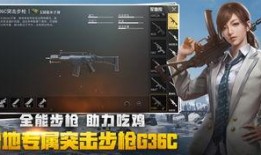 绝地求生爆料解说视频,解说视频深度解析