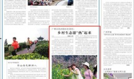 田阳新闻爆料,揭秘重大事件背后真相