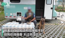 吃辣博主爆料视频,揭秘吃辣博主的独家辣味体验