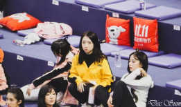 凯美娱乐官网最新爆料,最新影视动态大揭秘！