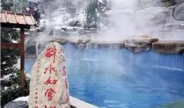 再去温泉吧在线观看,揭秘“再去温泉吧”在线观看之旅