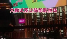 石家庄工厂爆料视频曝光,揭秘生产线真实情况