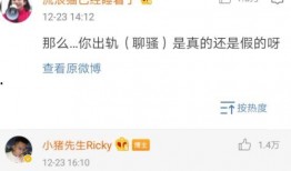 小猪先生最新爆料是真的吗,真相揭秘，是真是假？