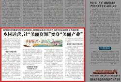 八村最新爆料新闻报道内容,揭秘背后惊人真相！”