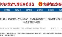 大皖新闻爆料最新消息,重大事件引发社会关注