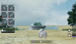 火山地图爆料视频大全在线观看