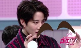 傅菁口红王子爆料视频大全,揭秘幕后精彩瞬间