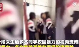 秦珊被爆料的视频,真相与争议