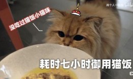 河马爆料心态变化视频大全,心态变化视频大盘点，揭秘内心世界转变瞬间