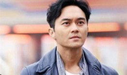 爆料娱乐圈张智霖,揭秘明星背后的故事