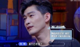 娱乐吃瓜君丁禹兮,娱乐吃瓜界的风云人物