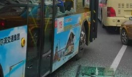 重庆公交圈内爆料事件,揭秘公交司机与乘客冲突背后的真相