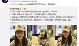 贵阳爆料新闻事件视频,最新事件视频揭秘，真相令人震惊