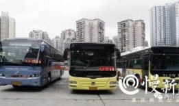 重庆公交圈内爆料事件,揭秘公交司机与乘客冲突背后的真相