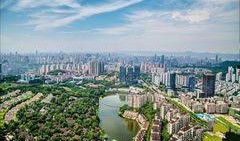 重庆棕榈泉爆料最新消息,揭秘神秘项目背后的惊人真相