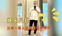 娱乐八卦爆料汪峰视频,娱乐八卦再掀波澜