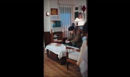 处手在线观看,揭秘神秘手艺，传承匠心独运