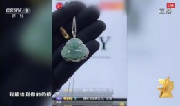 记者爆料翡翠直播间视频
