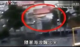 爆料诡异视频下载安装大全