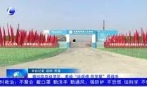 河北台今日资讯爆料赵县,揭秘河北历史文化名城的魅力与变迁