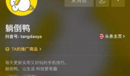 拍抖音爆料视频,揭秘热门视频背后的故事