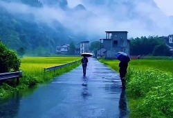 烟雨蒙蒙在线观看,穿越时空的浪漫邂逅