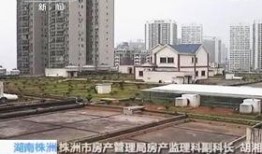 株洲新楼顶爆料事件视频,揭秘高空作业安全隐患曝光