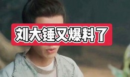 王大锤爆料刘大锤视频,真相大白引热议