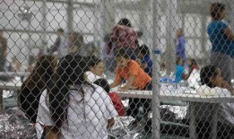 美国医生的爆料视频大全,爆料视频大全深度解析