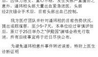 潘伟博最新爆料视频,事件真相与幕后黑幕