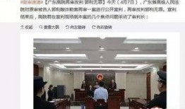 石家庄定州最新爆料案件,惊心动魄的真相揭露