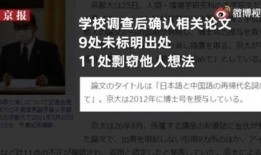 扶风网络爆料事件视频,真相与争议的交织