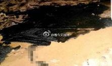 延安油田爆料最新消息今天,最新勘探成果助力能源产业新突破
