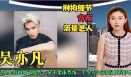 日本艺人爆料细节视频,揭秘视频中的惊人细节