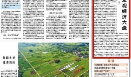 最新经济爆料新闻报道,揭秘市场动态与未来趋势