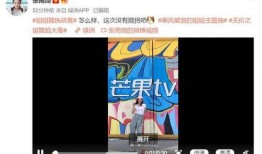 粉色回忆爆料视频大全集,揭秘爆料视频大全集背后的故事与真相