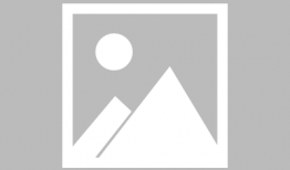 热点爆料婚庆视频下载软件,一键获取甜蜜瞬间